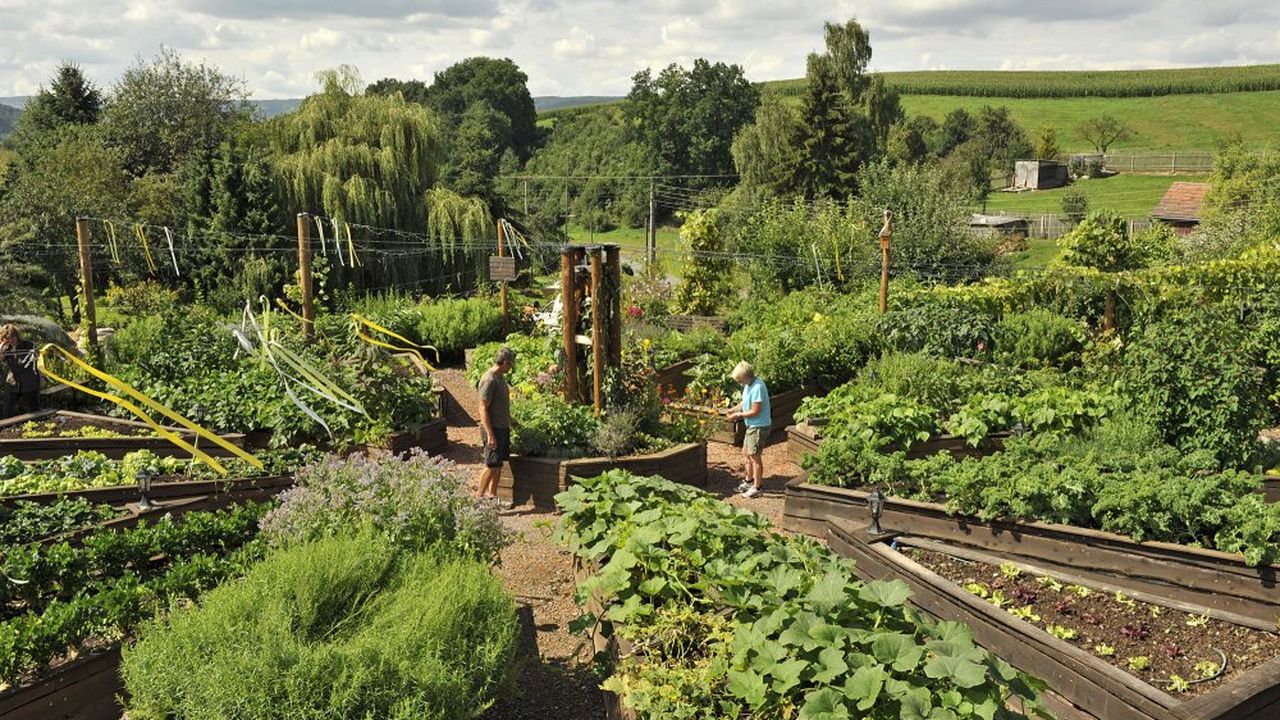 Garten mit Hochbeeten Garten mit Hochbeeten